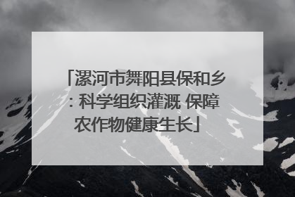 漯河市舞阳县保和乡：科学组织灌溉 保障农作物健康生长